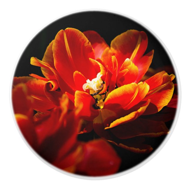 Bouton De Porte En Céramique Arrière - plan rouge tulipes foncé (Devant)