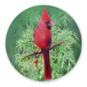 Bouton De Porte En Céramique Art cardinal rouge de nature d'oiseau d'aquarelle