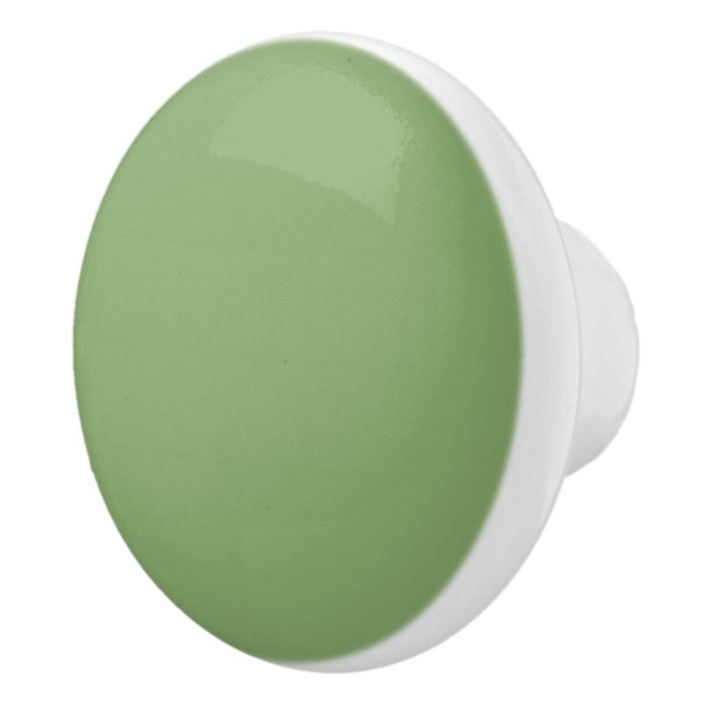 Bouton De Porte En Céramique asperges de couleur (Droite)