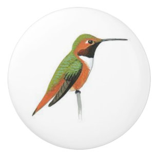 Bouton de porte en céramique avec un colibri