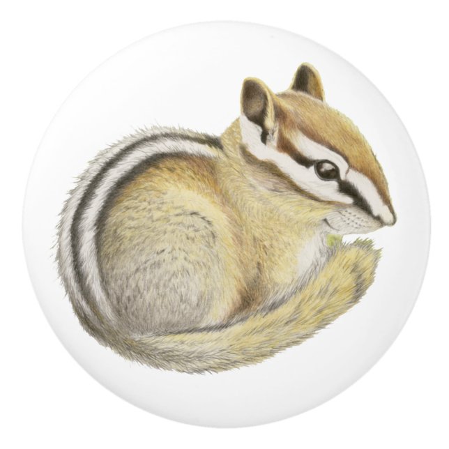 Bouton De Porte En Céramique Baby Chipmunk (Devant)