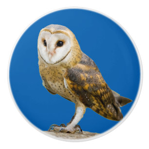 Bouton De Porte En Céramique Barn Owl