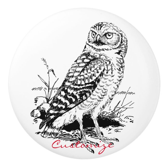 Bouton De Porte En Céramique Barne Owl Thunder_Cove (Devant)