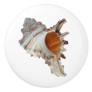 Bouton De Porte En Céramique Beach Seashell Ocean Shell