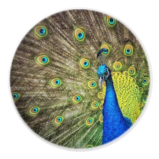 Bouton De Porte En Céramique Beau Peacock Knob (Devant)