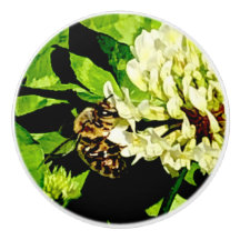 Bee Knob