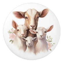 Belle famille de chèvres