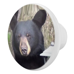 Bouton De Porte En Céramique Belle Ours Noir