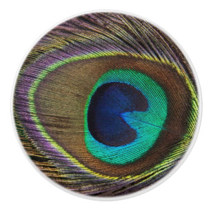 Bouton De Porte En Céramique Belle plumes de paon vert