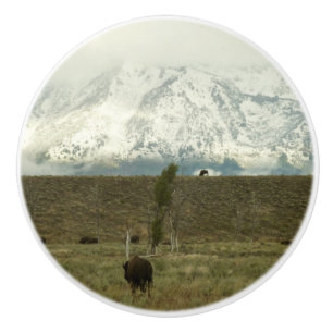 Bouton De Porte En Céramique Bison à Grand Teton National Park Photographie