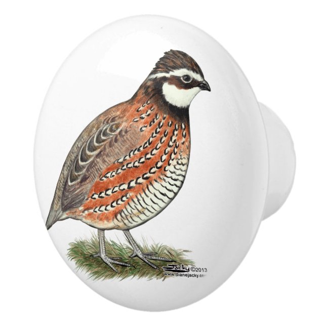 Bouton De Porte En Céramique Bobwhite Quail Rooster (Droite)