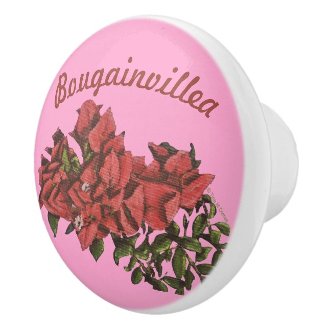 Bouton De Porte En Céramique Bougainvillea Ceramic Knob (Droite)