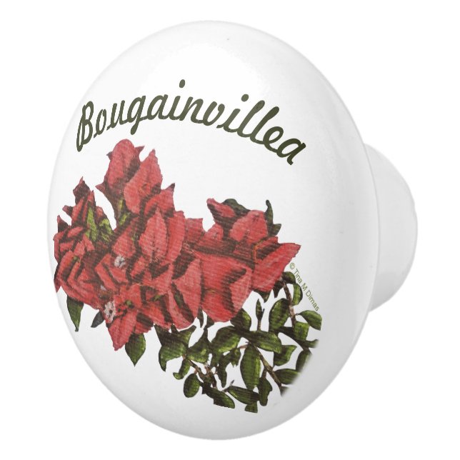 Bouton De Porte En Céramique Bougainvillea Ceramic Knob (Droite)