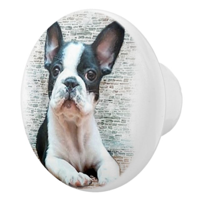 Bouton De Porte En Céramique Bouledogue français (Droite)