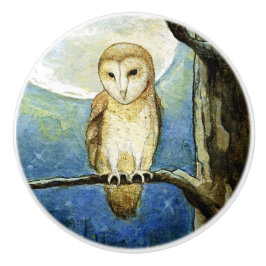 Bouton De Porte En Céramique Bouton céramique "Owl Moon"