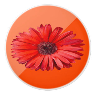 Bouton De Porte En Céramique Bouton de meuble en céramique Orange Daisy Colorbl