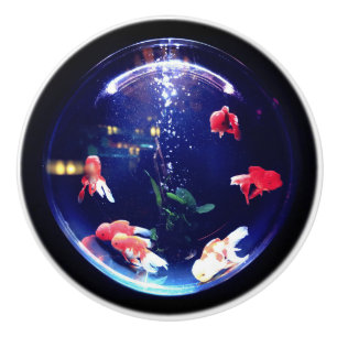 Bouton De Porte En Céramique Bouton en céramique de cuvette de poisson rouge