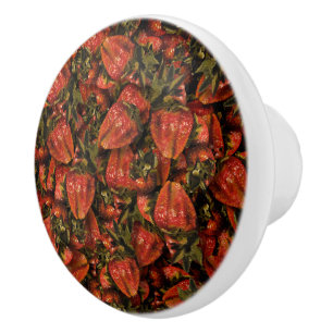 Bouton De Porte En Céramique Bouton en céramique fraise