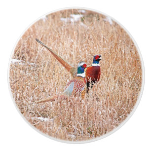 Bouton De Porte En Céramique Bouton en céramique personnalisée Pheasant à cou c