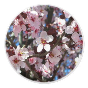 Bouton De Porte En Céramique Branche de fleurs roses Printemps Floral