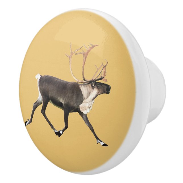 Bouton De Porte En Céramique Bull Caribou (Droite)