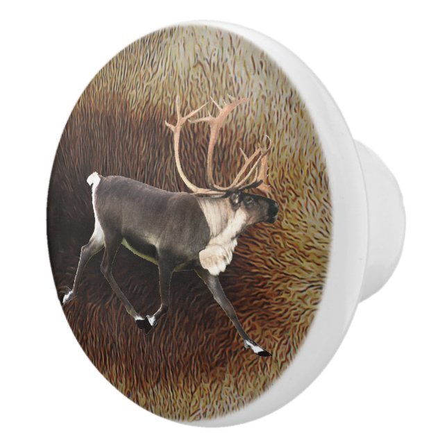 Bouton De Porte En Céramique Bull Caribou (Reindeer) (Droite)
