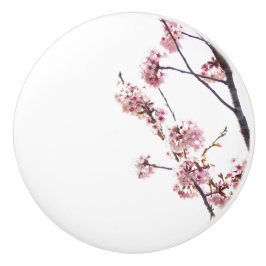 Bouton De Porte En Céramique Cerisier en fleurs