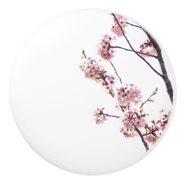 Bouton De Porte En Céramique Cerisier en fleurs (Devant)