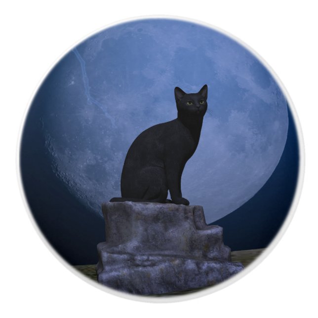 Bouton De Porte En Céramique Chat Lune (Devant)