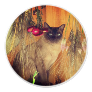 Bouton De Porte En Céramique Chat Siamois Posé Avec Fleurs