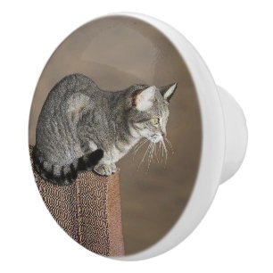 Bouton De Porte En Céramique Chat Tabby Gris Fumé
