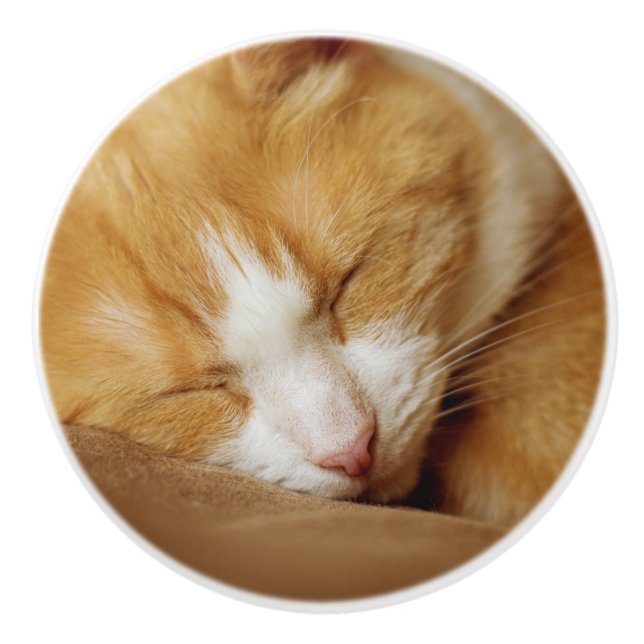 Bouton De Porte En Céramique Chaton couchant (Devant)