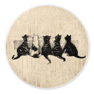 Bouton De Porte En Céramique Chatons illustrés avec Arrière - plan de script de