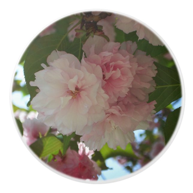 Bouton De Porte En Céramique Cherry Tree I Spring Floral (Devant)