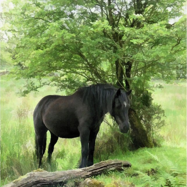BOUTON DE PORTE EN CÉRAMIQUE CHEVAL NOIR (A beautiful black mare resting in the shade of a tree.)