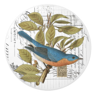 Bouton De Porte En Céramique Chic Vintage Bluebird sur Branche French Script Kn
