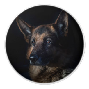 Bouton De Porte En Céramique Chien berger allemand