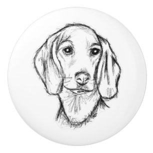 Bouton De Porte En Céramique Chien-chien dragon