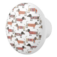 Chien de saucisse Dachshund