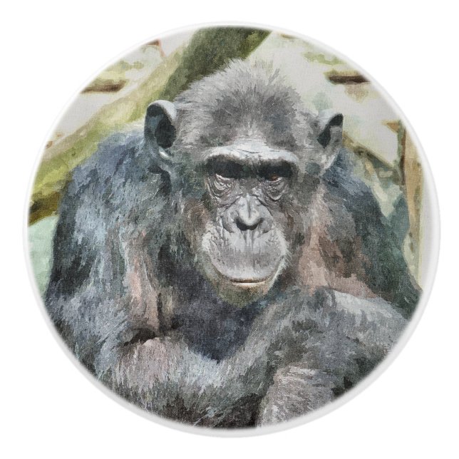 BOUTON DE PORTE EN CÉRAMIQUE CHIMPANZÉS (Devant)