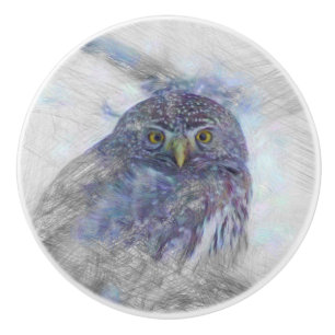 Bouton De Porte En Céramique Chouette animale artistique