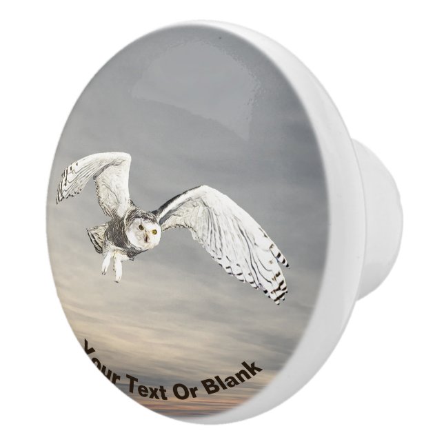Bouton De Porte En Céramique Chouette des neiges (Droite)