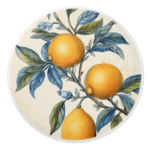 Bouton De Porte En Céramique Citron méditerranéen