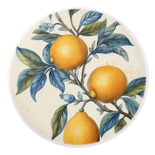 Bouton De Porte En Céramique Citron méditerranéen (Devant)