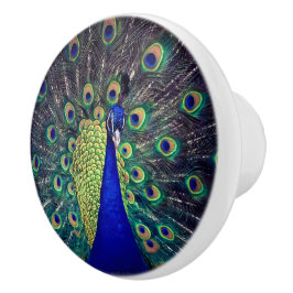Bouton De Porte En Céramique Cobalt Blue Peacock