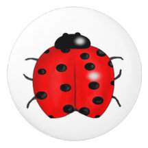 Coccinelle