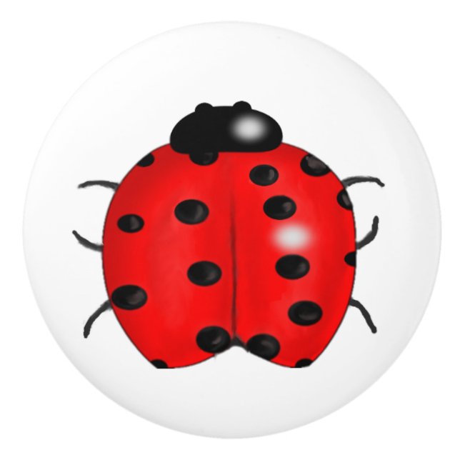 Bouton De Porte En Céramique Coccinelle (Devant)