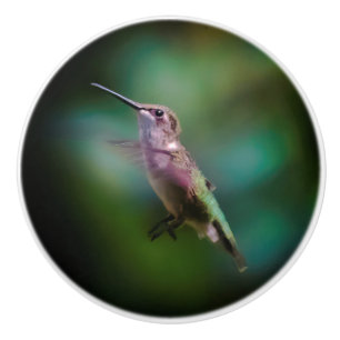 Bouton De Porte En Céramique Colibri à gorge rubis - Photo originale