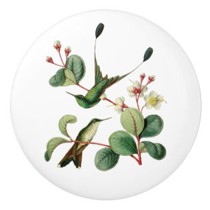 Bouton De Porte En Céramique Colibri initialisé de queue de raquette