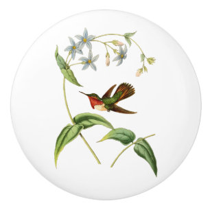 Bouton De Porte En Céramique Colibri Scintillant